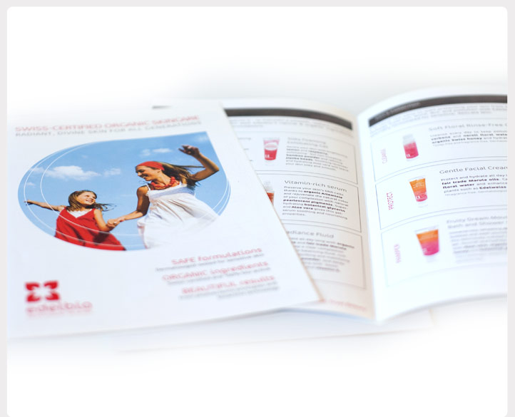 Print Brochure